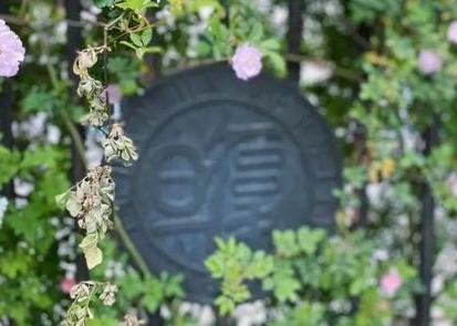 复旦发展研究院